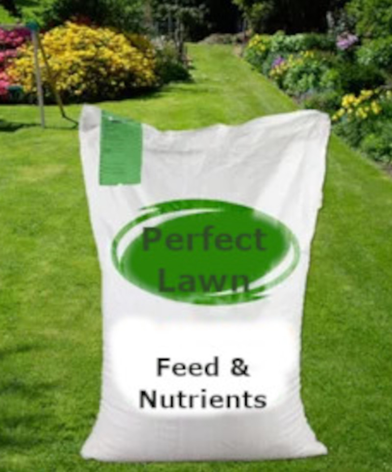 alfreton-lawn-treatments