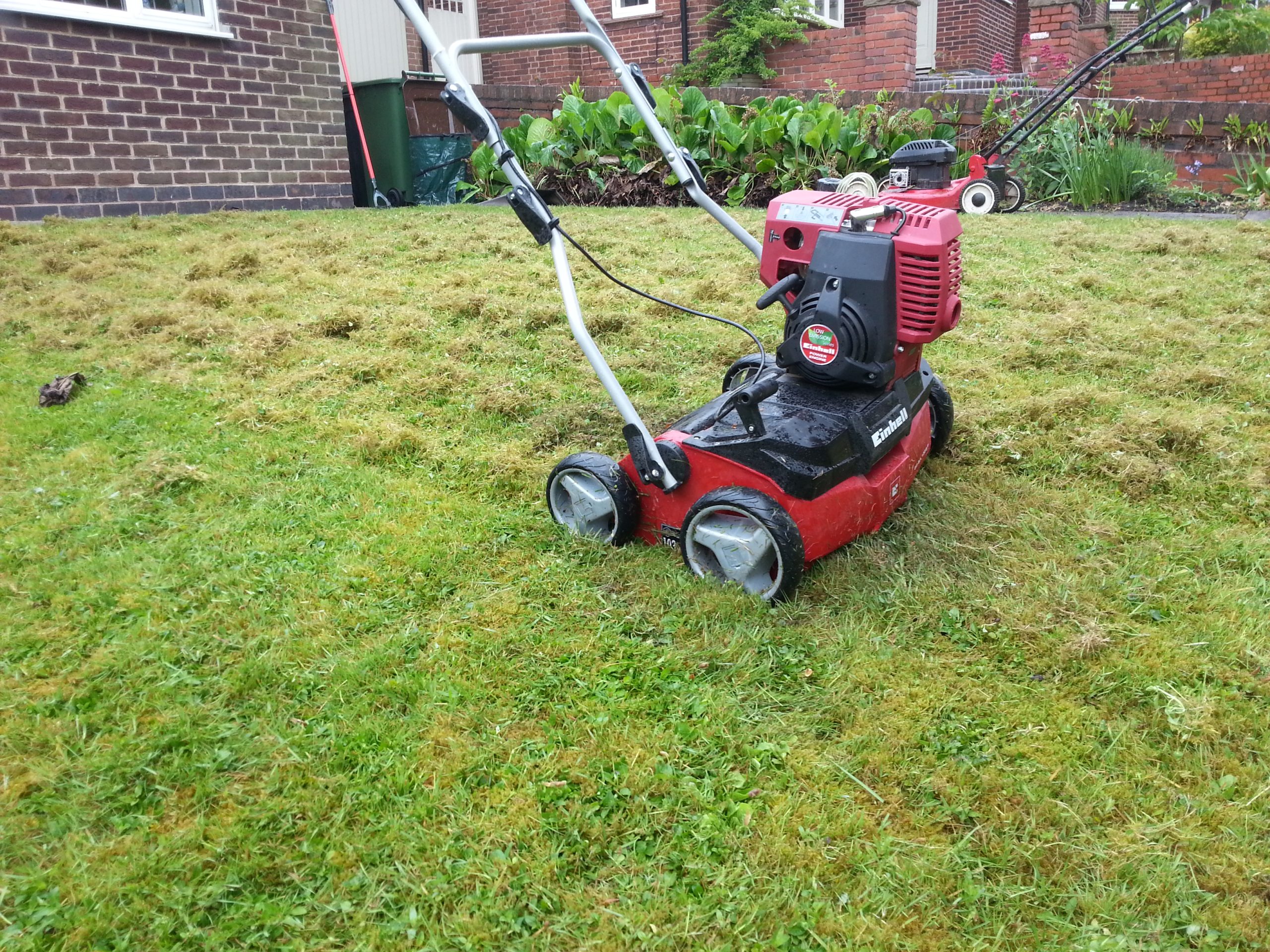 Scarifying your lawn