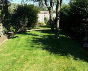 Alfreton-Lawn-Care-Client-Image-Shirland-Alfreton